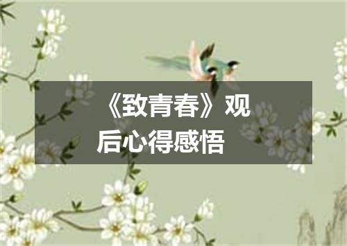 《致青春》观后心得感悟