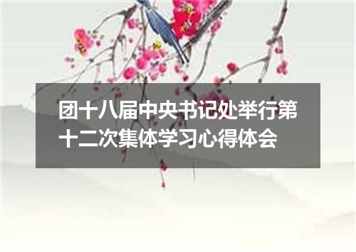 团十八届中央书记处举行第十二次集体学习心得体会