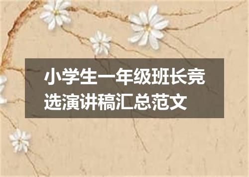 小学生一年级班长竞选演讲稿汇总范文