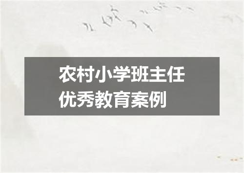农村小学班主任优秀教育案例