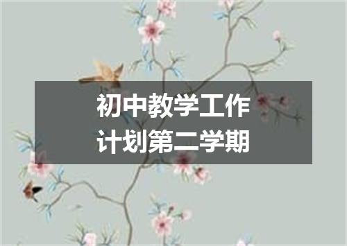 初中教学工作计划第二学期