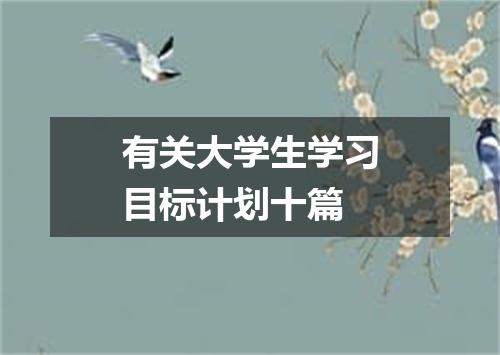 有关大学生学习目标计划十篇