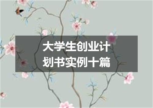 大学生创业计划书实例十篇