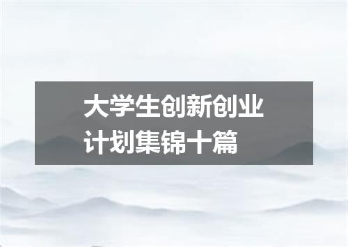 大学生创新创业计划集锦十篇