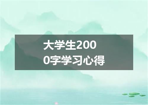 大学生2000字学习心得