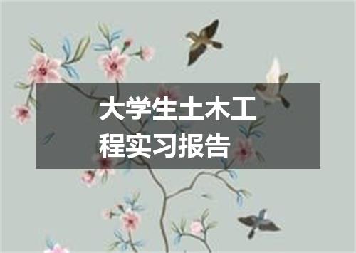 大学生土木工程实习报告