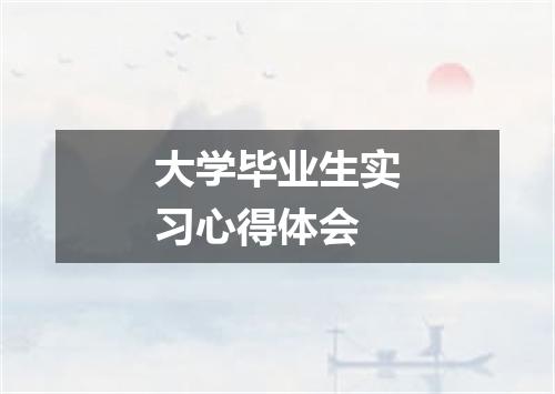 大学毕业生实习心得体会