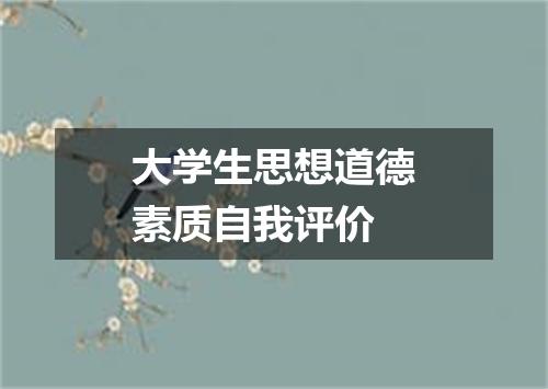 大学生思想道德素质自我评价