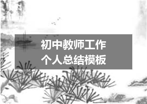 初中教师工作个人总结模板