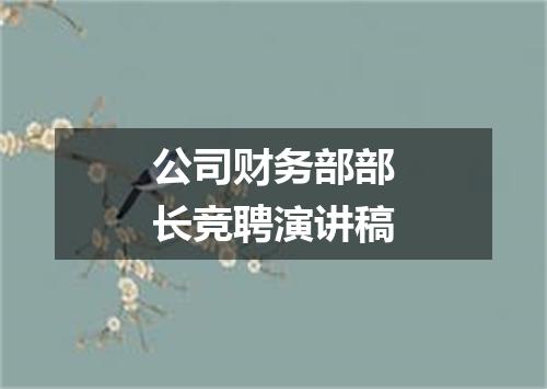 公司财务部部长竞聘演讲稿
