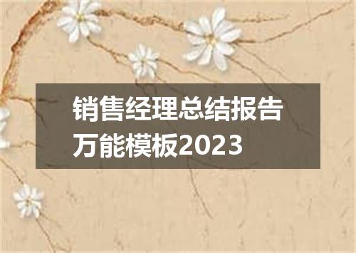 销售经理总结报告万能模板2023