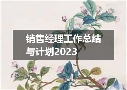 销售经理工作总结与计划2023