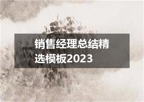 销售经理总结精选模板2023