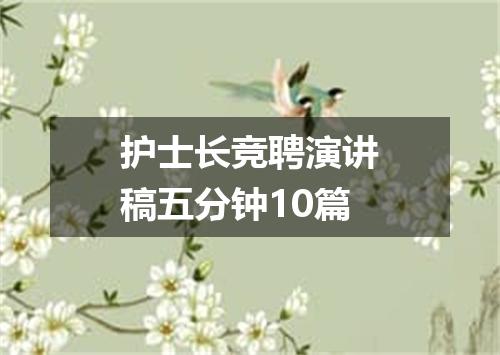 护士长竞聘演讲稿五分钟10篇