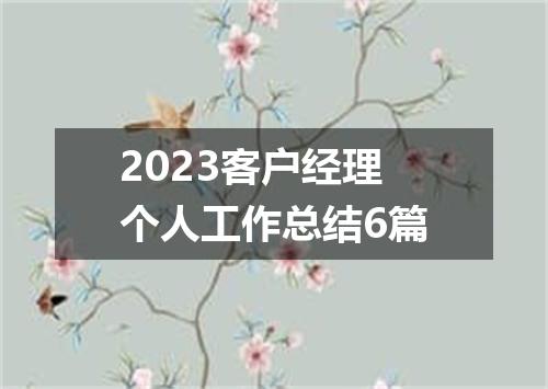 2023客户经理个人工作总结6篇