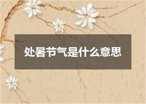 处暑节气是什么意思