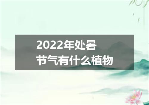 2022年处暑节气有什么植物