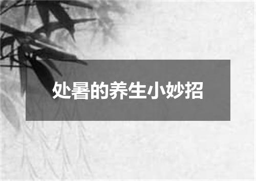 处暑的养生小妙招