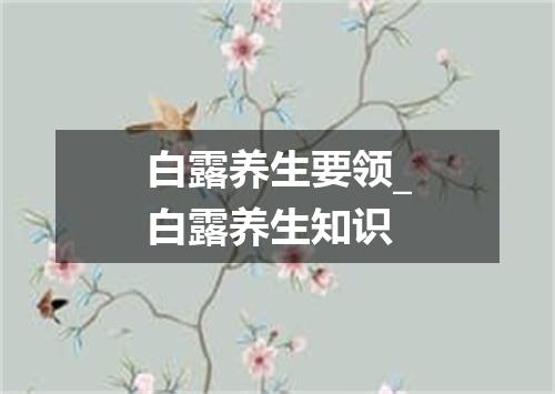 白露养生要领_白露养生知识