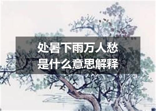 处暑下雨万人愁是什么意思解释