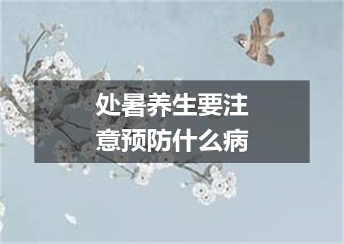 处暑养生要注意预防什么病