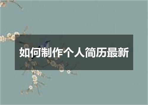 如何制作个人简历最新