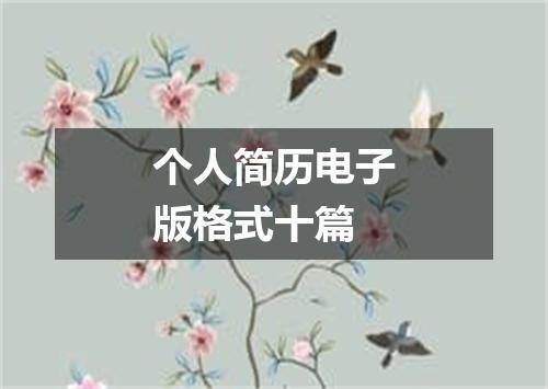 个人简历电子版格式十篇