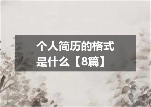 个人简历的格式是什么【8篇】