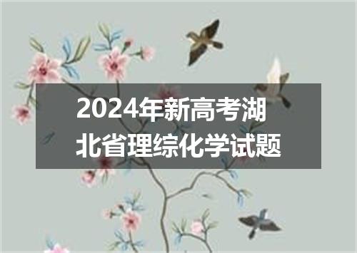 2024年新高考湖北省理综化学试题