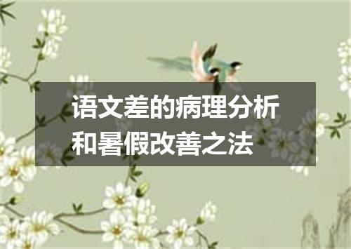 语文差的病理分析和暑假改善之法