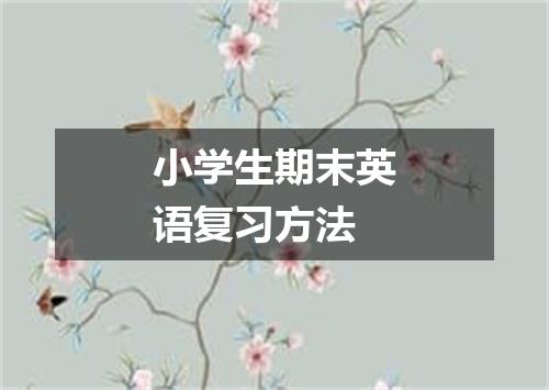 小学生期末英语复习方法