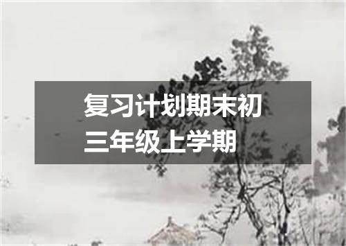 复习计划期末初三年级上学期