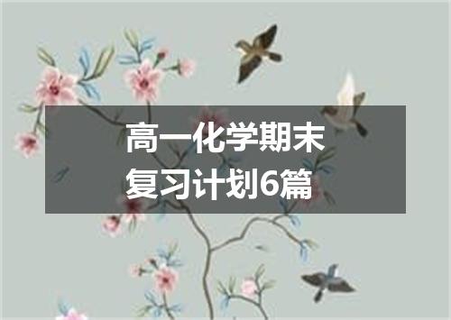 高一化学期末复习计划6篇