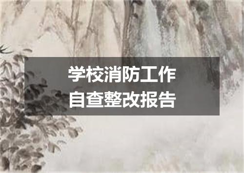 学校消防工作自查整改报告