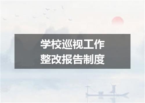学校巡视工作整改报告制度