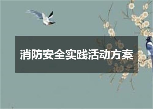 消防安全实践活动方案