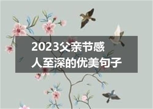 2023父亲节感人至深的优美句子