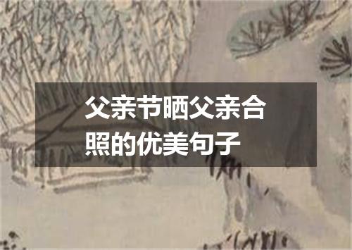 父亲节晒父亲合照的优美句子