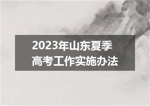 2023年山东夏季高考工作实施办法