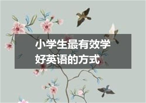 小学生最有效学好英语的方式