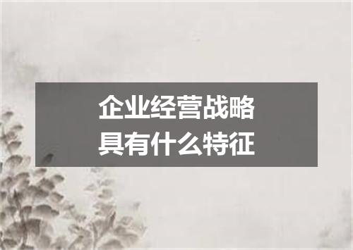 企业经营战略具有什么特征