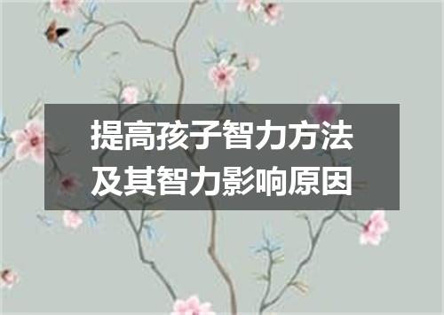 提高孩子智力方法及其智力影响原因