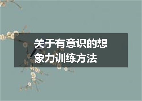 关于有意识的想象力训练方法