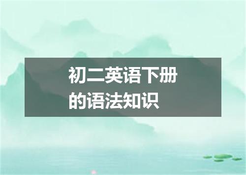 初二英语下册的语法知识