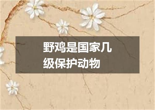 野鸡是国家几级保护动物