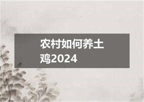 农村如何养土鸡2024