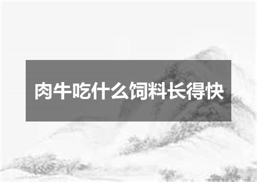 肉牛吃什么饲料长得快