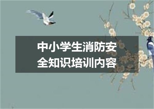 中小学生消防安全知识培训内容