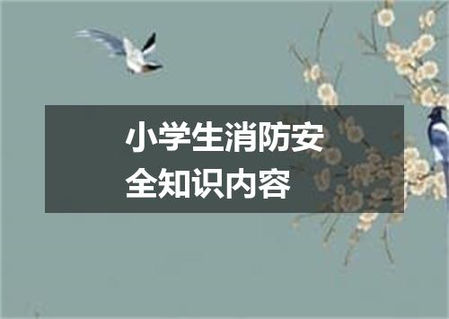 小学生消防安全知识内容