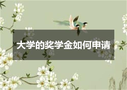 大学的奖学金如何申请